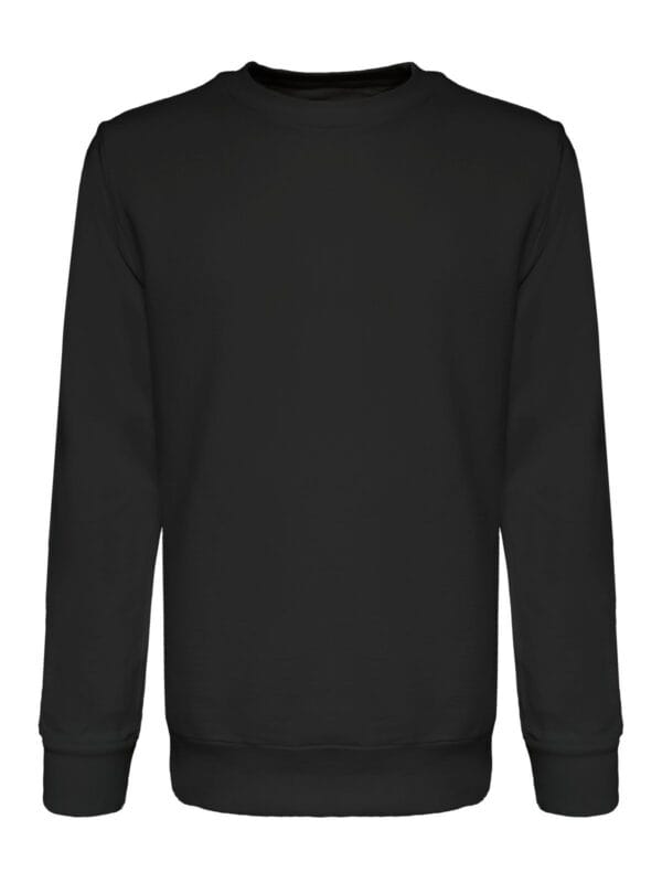 felpe personalizzate milano 2express b&c BS302
