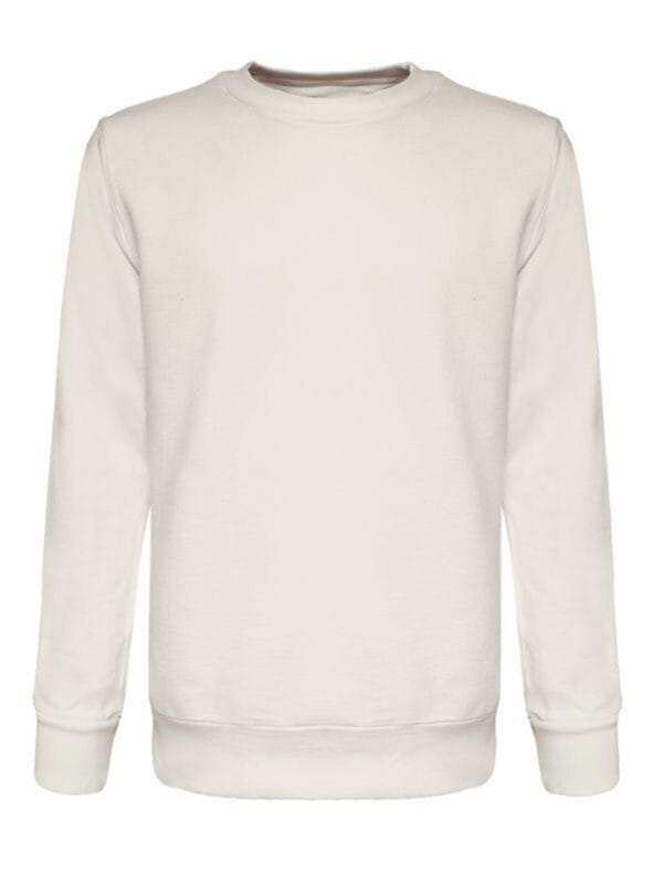 felpe personalizzate milano 2express b&c BS302