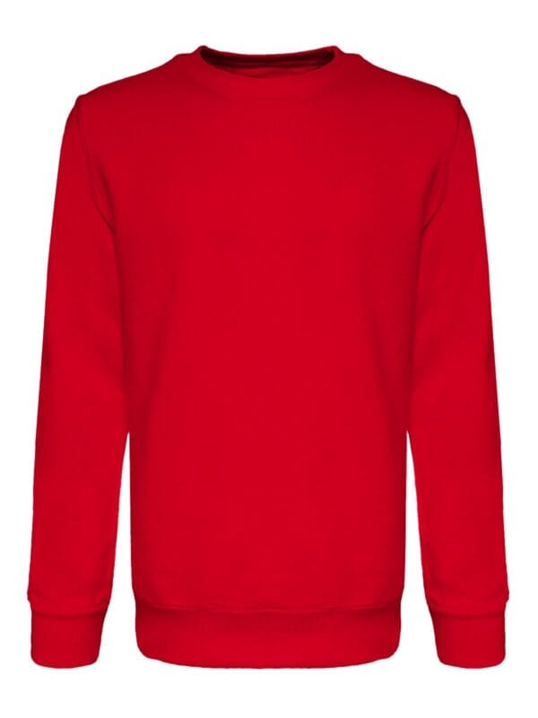 felpe personalizzate milano 2express b&c BS302